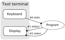 The standard streams for input, output, and error